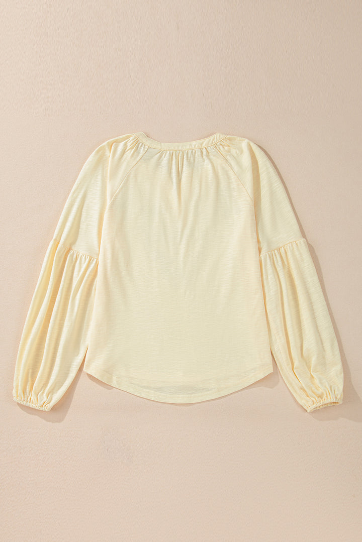 Embroidered Notched Long Sleeve Blouse